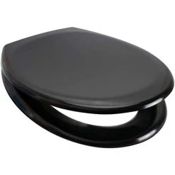 Euroshowers Rainbow Soft Close Toilet Seat - Black - 84490