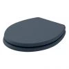 Bayswater Stiffkey Blue Fitzroy Soft Close Toilet Seat 2 Bayswater Stiffkey Blue Fitzroy Soft Close Toilet Seat -Toilet Accessories shop BAYF152 P