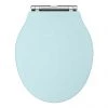 Old London Ryther Duck Egg Blue Wooden Soft Close Toilet Seat -Toilet Accessories shop Downton Abbey Ryther Duck Egg Blue Wooden Soft Close Toilet Seat p