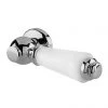 Hudson Reed White Ceramic Cistern Lever - E370 -Toilet Accessories shop E370 P