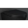 RAK Feeling Soft Close Seat in Matt Black -Toilet Accessories shop FEESEAT504 n p