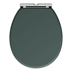 Chatsworth Green Soft Close Toilet Seat
