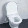 RAK Manual Non-Electric Bidet Function Soft Close Toilet Seat -Toilet Accessories shop RAKSEAT050 P