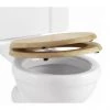 Burlington Soft Close Golden Oak Toilet Seat - S16 -Toilet Accessories shop S16 P