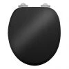 Burlington Soft Close Toilet Seat with Chrome Hinges - Gloss Black -Toilet Accessories shop S40 P