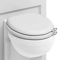Burlington Soft Close Toilet Seat with Chrome Hinges and Handles - Matt White -Toilet Accessories shop S45 A51CHR D1 460