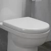 D-Shaped Rapid Fix Soft Close Toilet Seat 1 D-Shaped Rapid Fix Soft Close Toilet Seat -Toilet Accessories shop SEA007 p