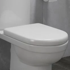 D-Shaped Rapid Fix Soft Close Toilet Seat