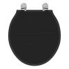 Ideal Standard Waverley Black Standard Toilet Seat & Cover 2 Ideal Standard Waverley Black Standard Toilet Seat & Cover -Toilet Accessories shop U0248GB P