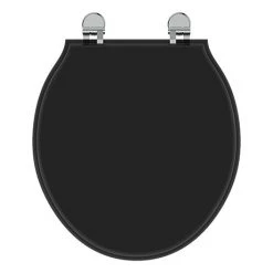 Ideal Standard Waverley Black Standard Toilet Seat & Cover