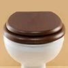 Silverdale BTW Traditional Luxury Mahogany Wooden Toilet Seat -Toilet Accessories shop VCBTWSEACHHMAH P