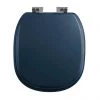 Imperial Radcliffe Soft Close Toilet Seat with Chrome Hinges - Moseley Blue -Toilet Accessories shop XW50000114NSB P