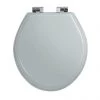 Imperial Oval Soft Close Toilet Seat with Chrome Hinges - Grey Ecru -Toilet Accessories shop XX50008104NSB P