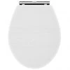 York White Ash Top Fixing Soft Close Toilet Seat -Toilet Accessories shop YRKTSWHT p